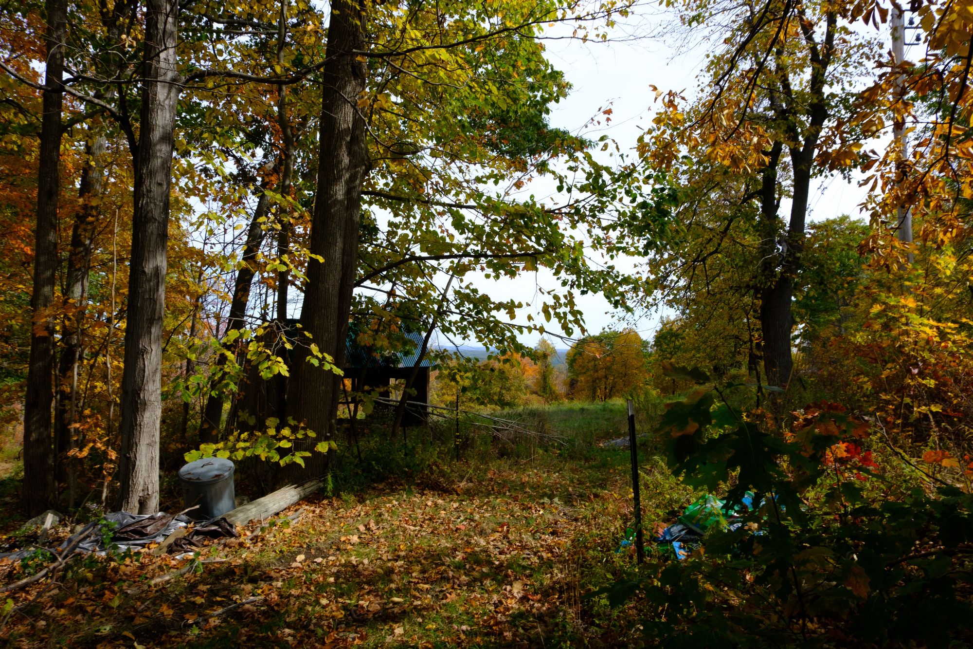 On Yardwork